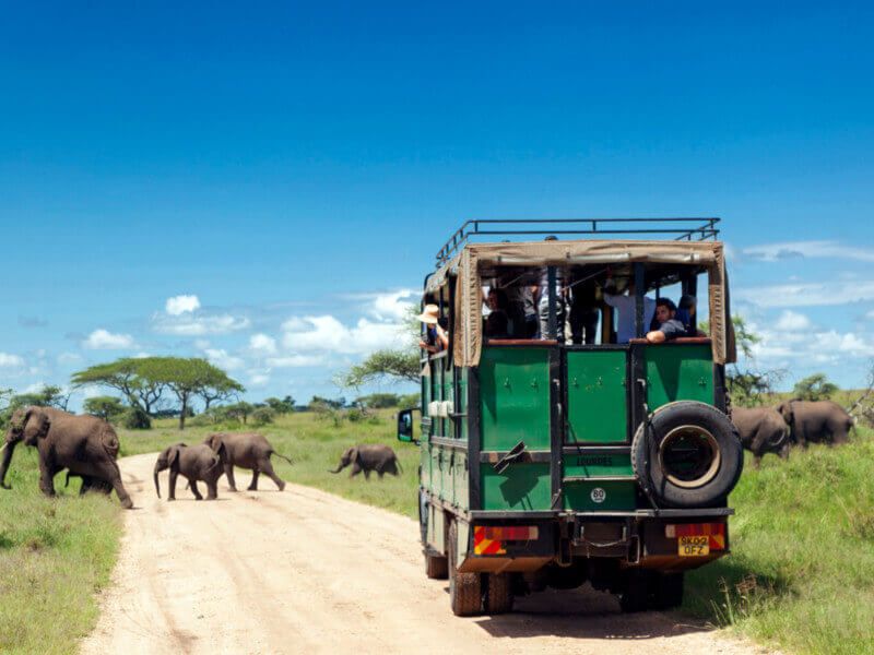 camion safari 7 camion safari vision 360