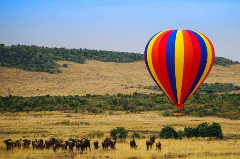 kenia globo masaimara
