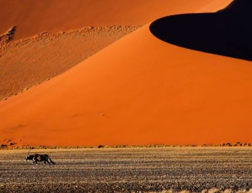 Namibia y Botsuana
