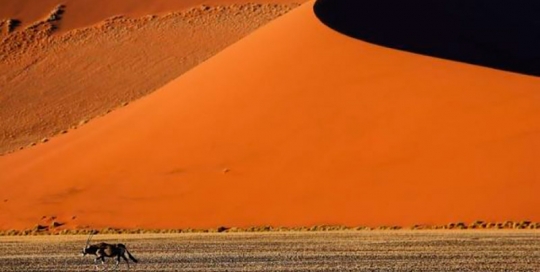desierto Namib