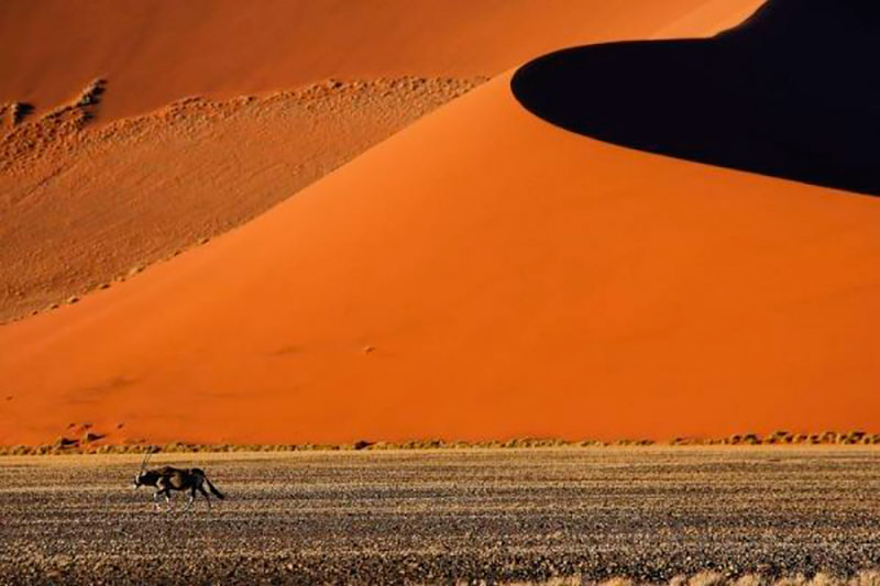 desierto Namib