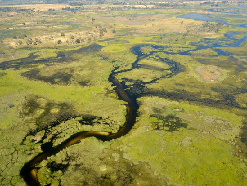 botsuana botsuana delta okavango