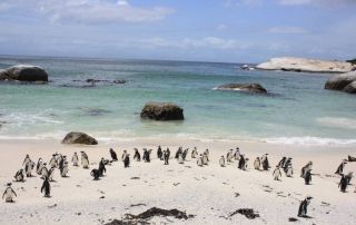 sudafrica playa boulders