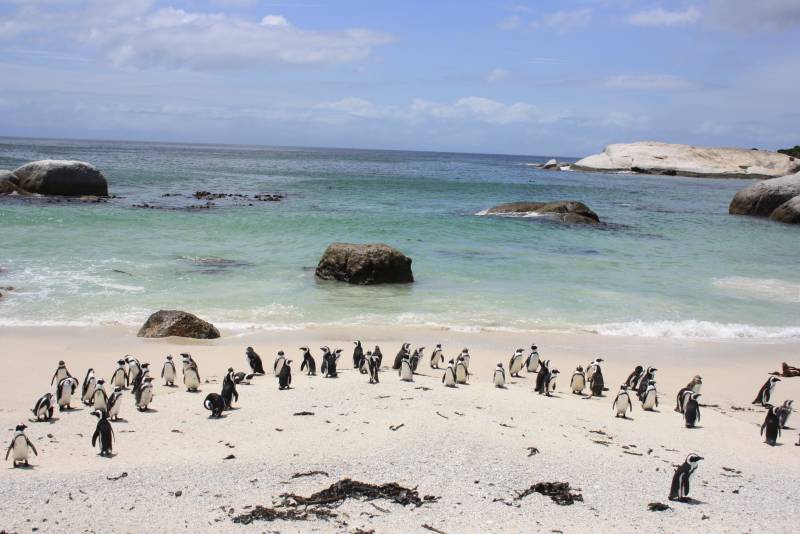 sudafrica playa boulders
