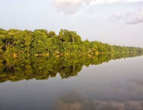 MAMBILI, EL CORAZÓN DE ÁFRICA