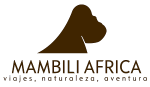 logomambili300T